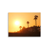 Sunset Palms Poster